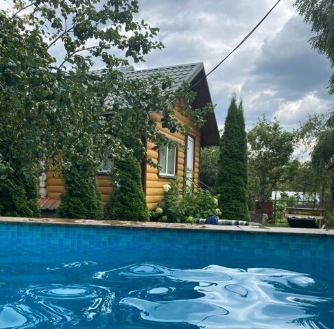 снт Большое Саврасово Домодедовская фото
