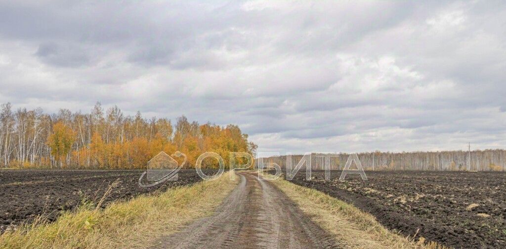 земля р-н Тюменский с Горьковка Горьковское сельское поселение фото 4