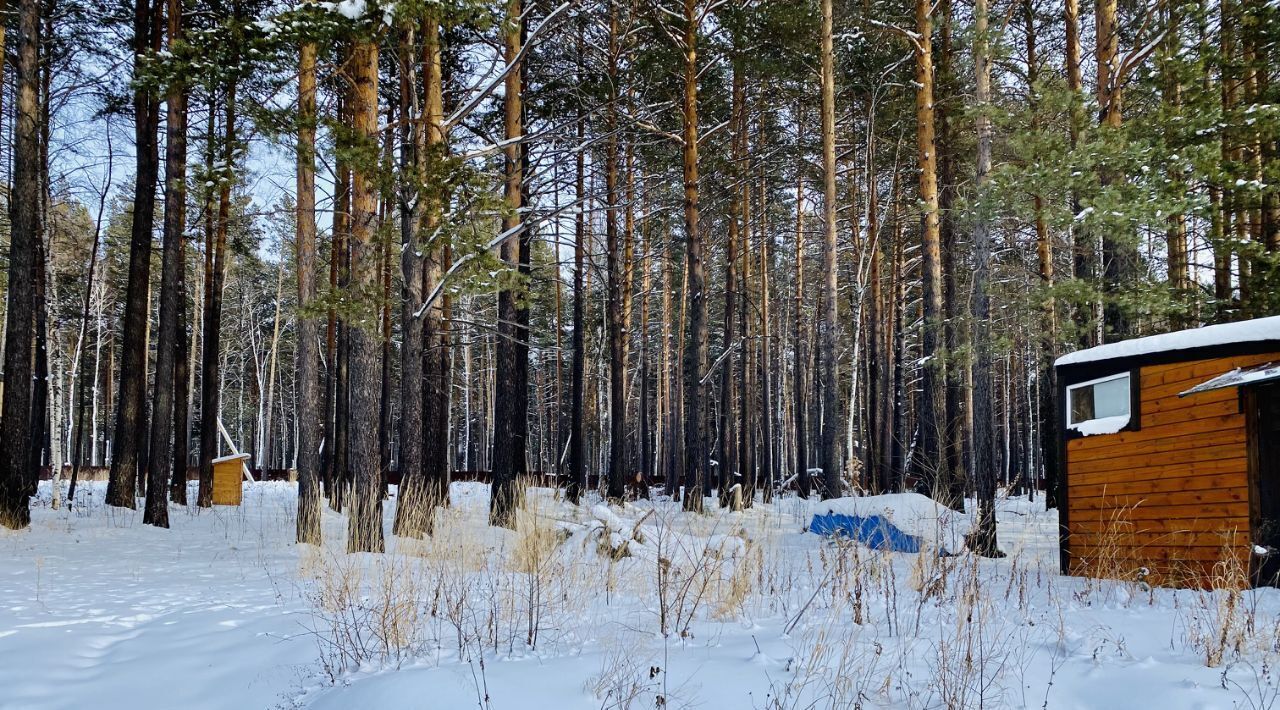 земля р-н Иркутский снт Хрустальное фото 3