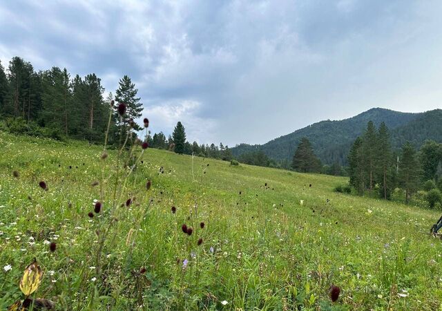 Горно-Алтайск фото