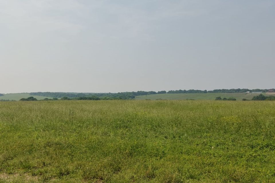 земля р-н Надеждинский с Кипарисово село Кипарисово, 2 фото 1