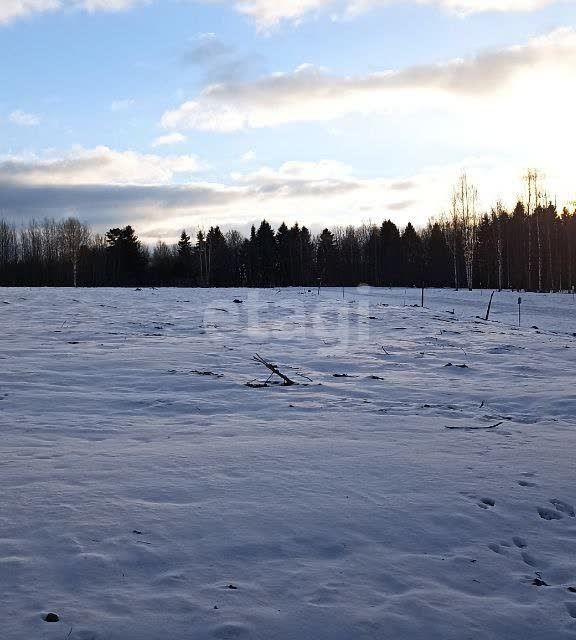 земля Добрянский городской округ, д. Залесная фото 1