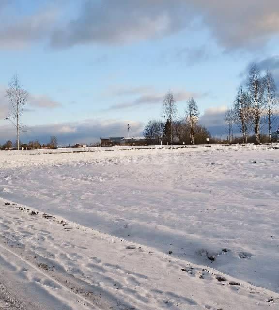 земля Добрянский городской округ, д. Залесная фото 4