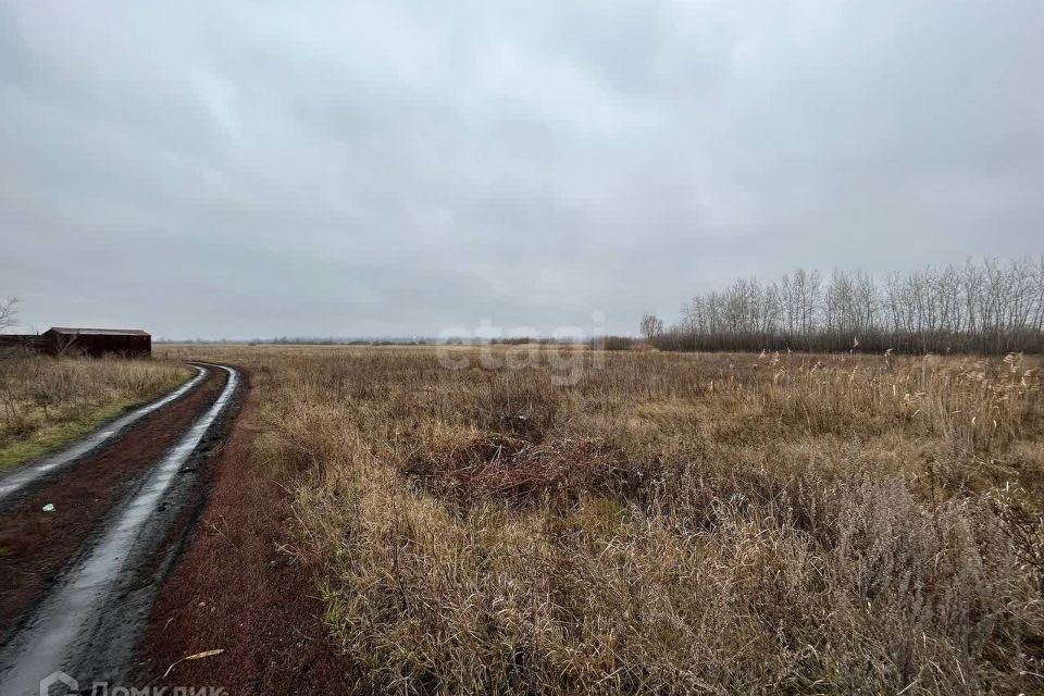 земля р-н Новоусманский фото 2