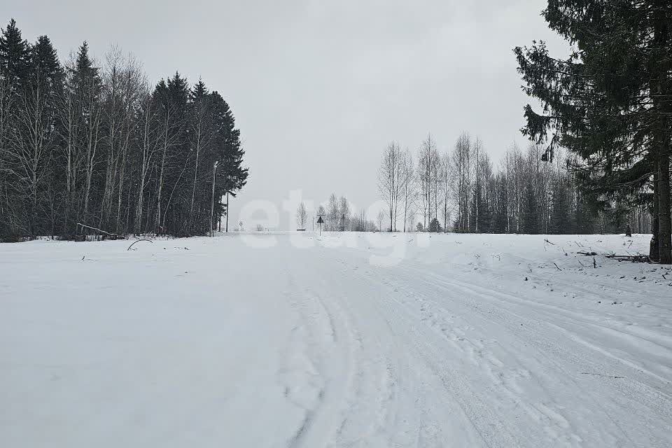 земля Добрянский городской округ, д. Залесная фото 7