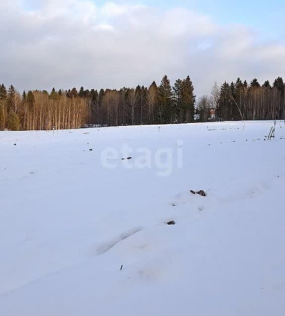 земля Добрянский городской округ, д. Залесная фото 10