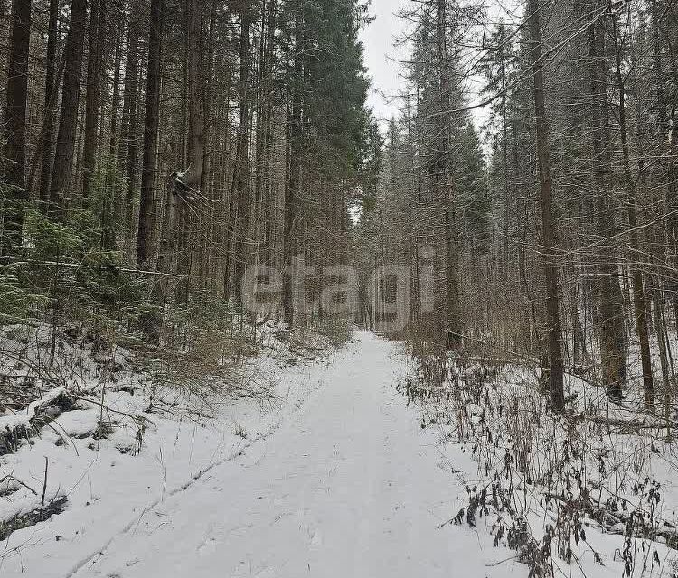 земля Добрянский городской округ, д. Залесная фото 10