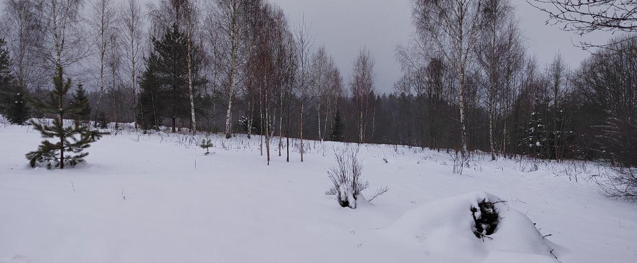 земля городской округ Одинцовский г Звенигород 33 км, Ильинское шоссе фото 9