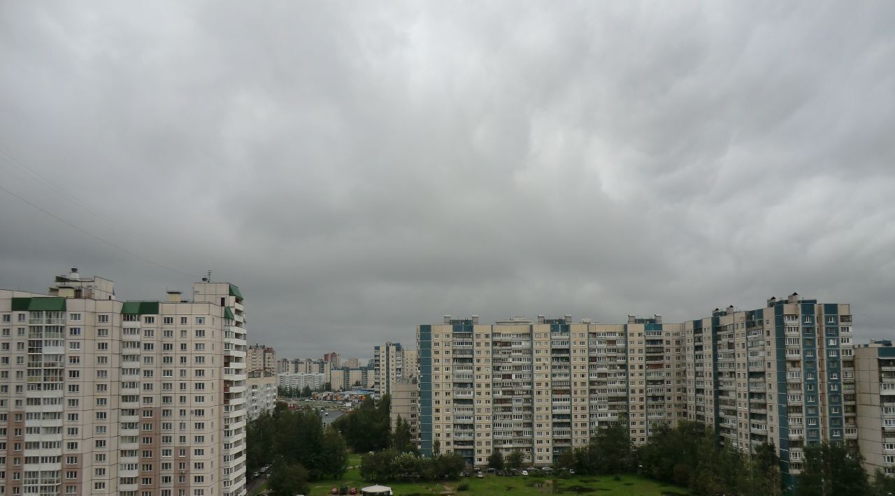 квартира г Санкт-Петербург метро Комендантский Проспект пр-кт Комендантский 17к/1 округ Озеро Долгое фото 14