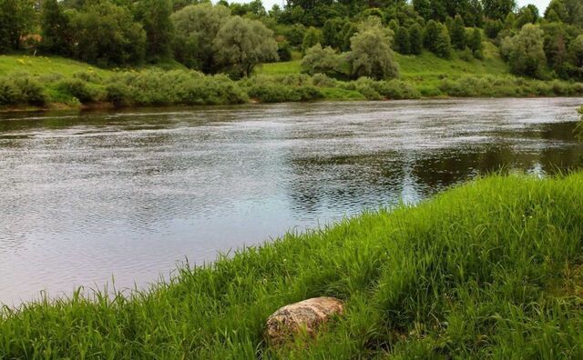 земля р-н Великолукский д Малахово Лычёвская волость, Великие Луки фото