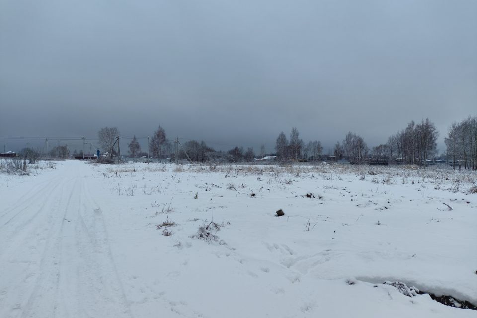 земля городской округ Орехово-Зуевский д. Кудыкино фото 1