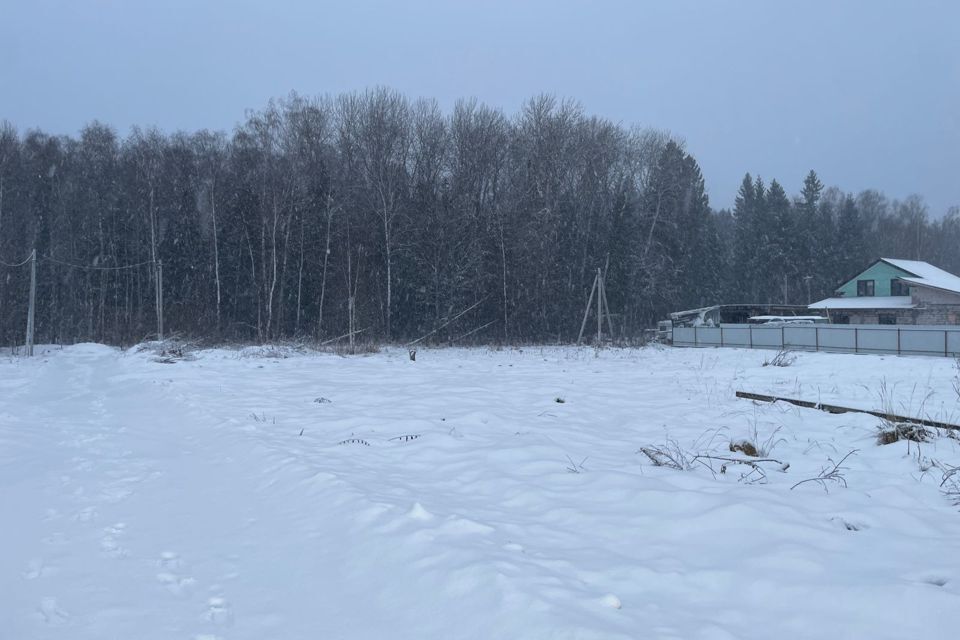 земля городской округ Истра д. Андреевское фото 8