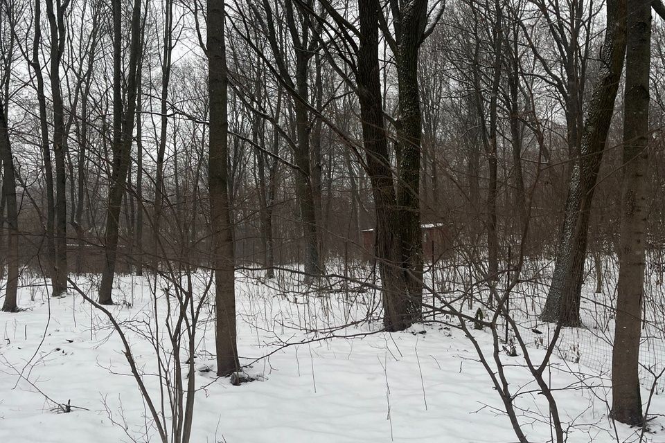 земля городской округ Солнечногорск д Жигалово ул Огородная Химки городской округ фото 5