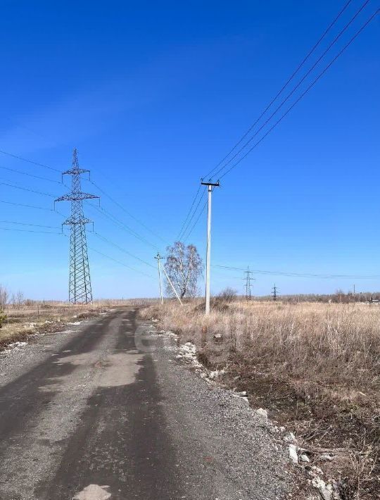 земля р-н Первомайский с Санниково ул Лесная Санниковский сельсовет фото 5