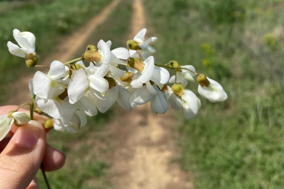 земля р-н Аксайский Большелогское сельское поселение фото 3