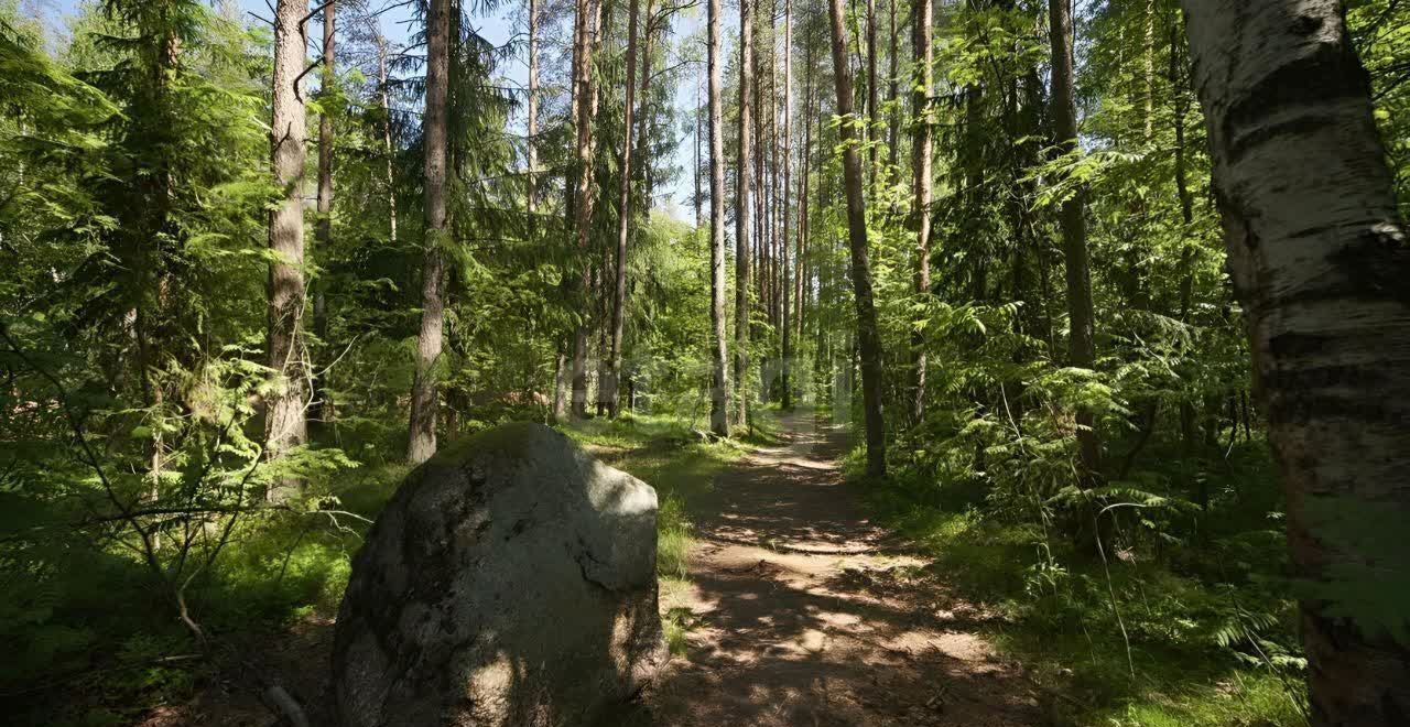 земля г Санкт-Петербург п Левашово Горское шоссе, 3 км, коттеджный посёлок Про Левашово фото 17