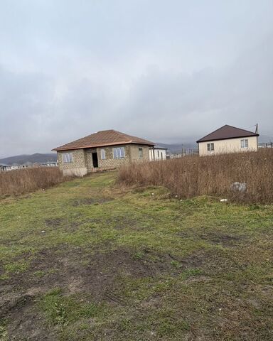 г Новороссийск п Верхнебаканский х Убых снт Флора фото