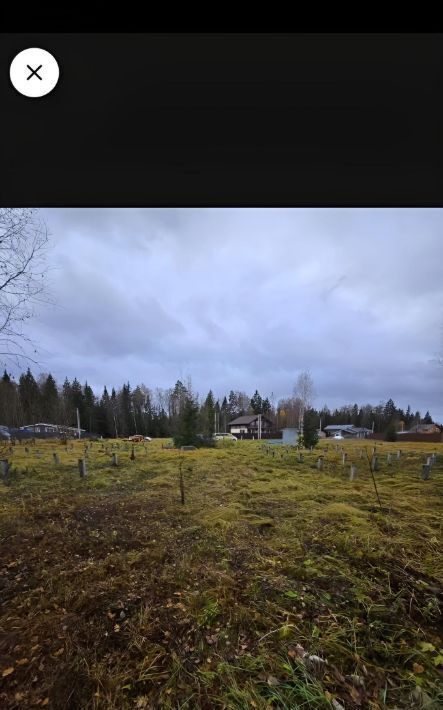 земля городской округ Лотошино д Поляны 66, Истра муниципальный округ фото 7