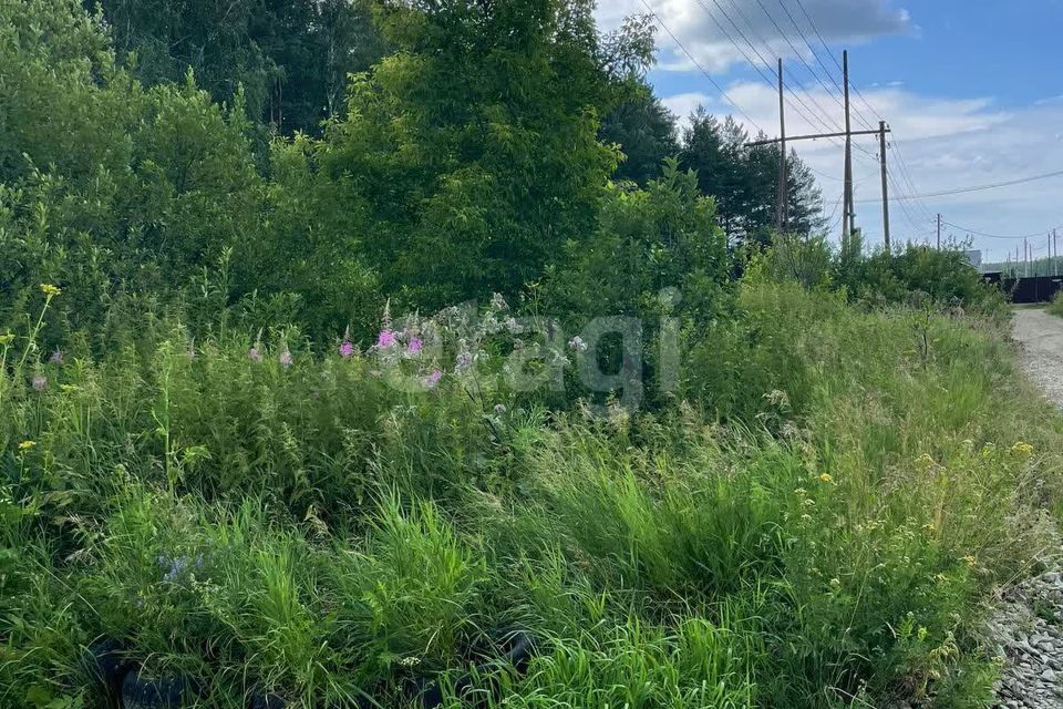 земля р-н Белоярский Белоярский городской округ фото 1