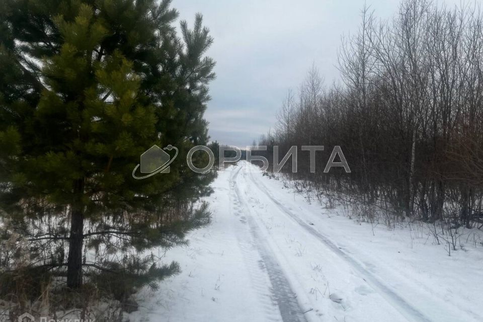 земля р-н Тюменский с Горьковка Совхозная фото 4