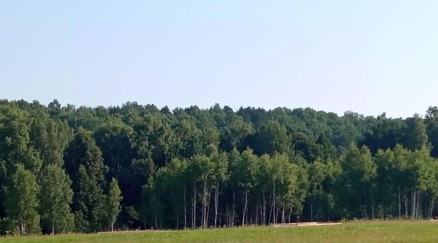 р-н Ферзиковский д Тиньково Красный Городок с/пос фото