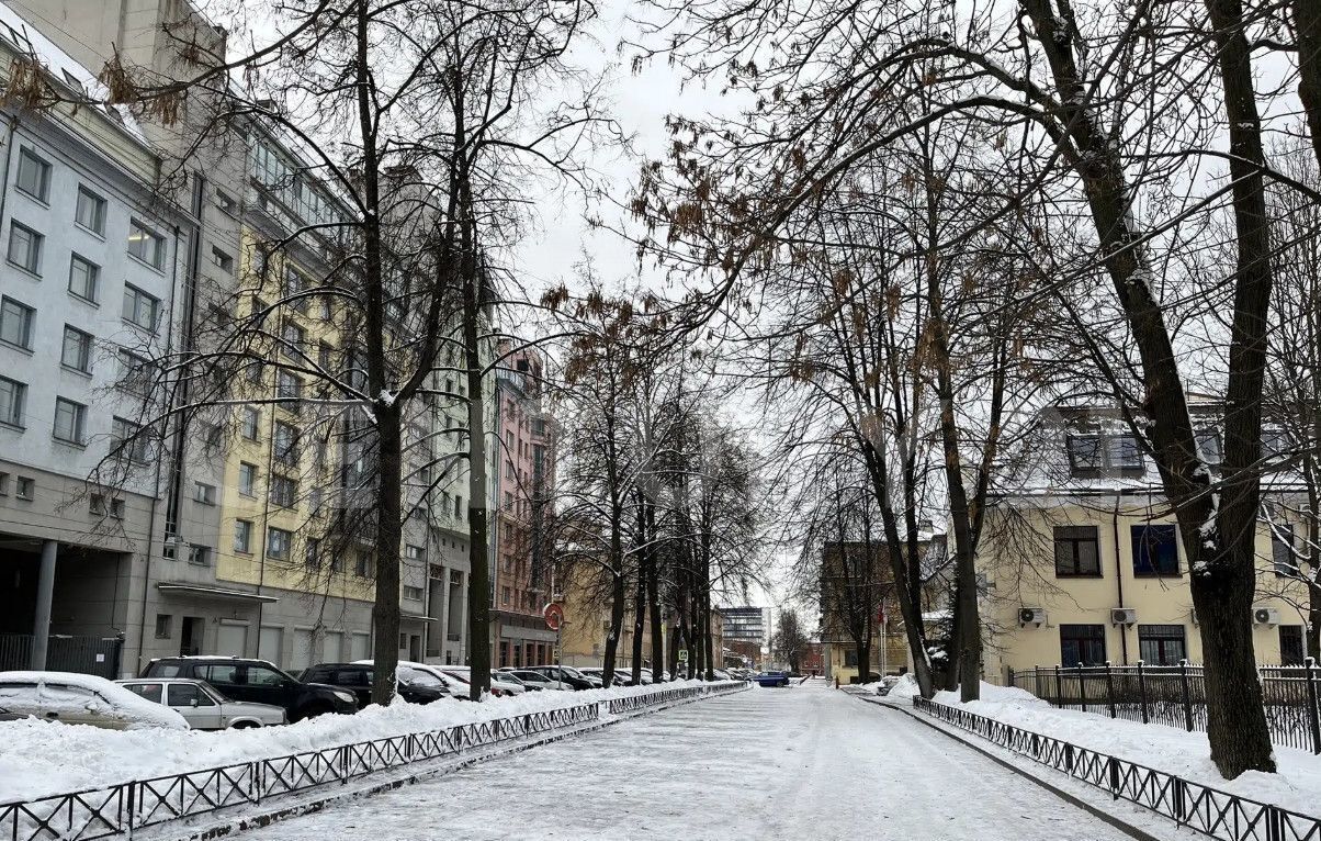 квартира г Санкт-Петербург метро Выборгская пер Нейшлотский 15б фото 15