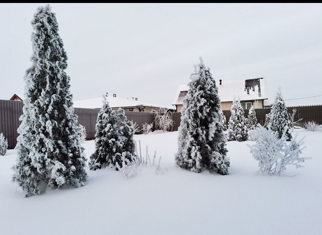 дом р-н Тосненский п Фёдоровское Московское шоссе, 19 км, городской пос. Фёдоровское фото 15