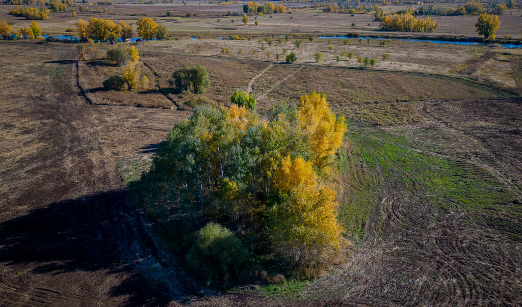 земля р-н Оренбургский с Каменноозерное фото 23