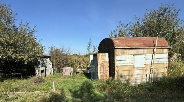 Верхнее, Брянск, садоводческое товарищество фото