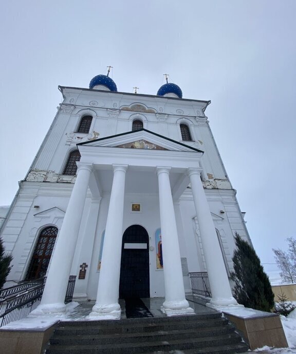 земля р-н Чкаловский с Катунки городской округ Чкаловск фото 4