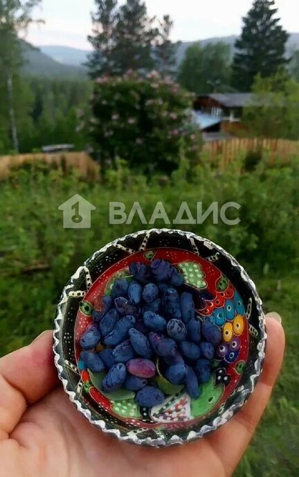 дом р-н Манский п Сорокино сельсовет, Зелёный переулок, Камарчагский фото 10