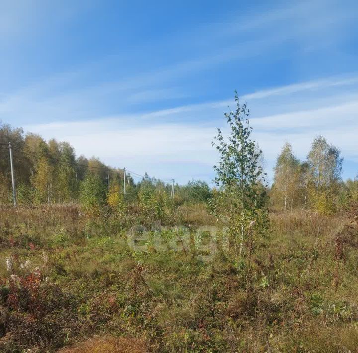 земля р-н Ишимский п Плодопитомник ул Васильковая 20 фото 3