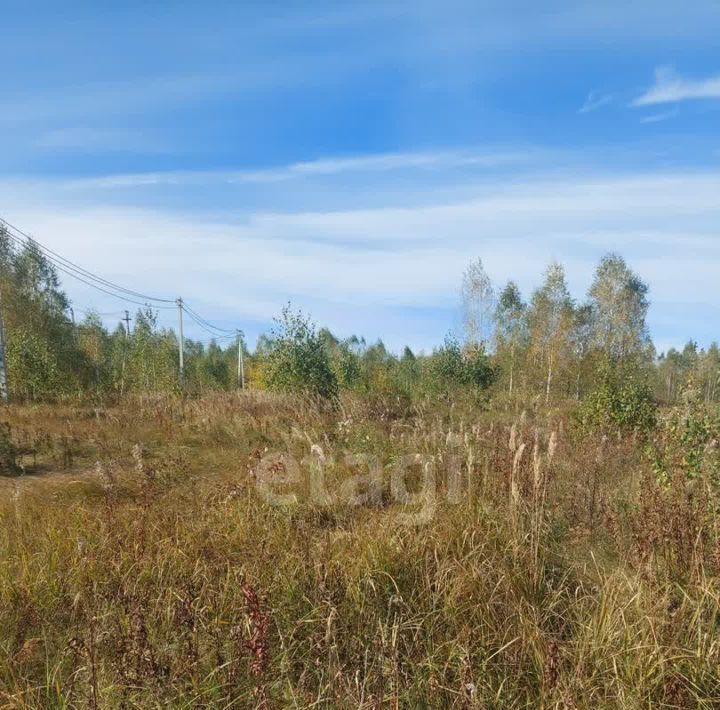 земля р-н Ишимский п Плодопитомник ул Васильковая 20 фото 5