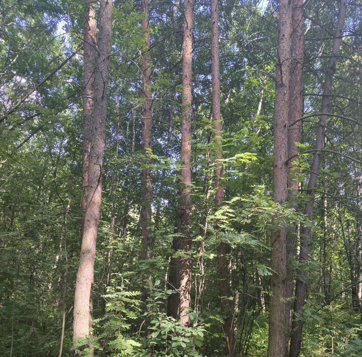 дом городской округ Одинцовский Зори садовое товарищество, 16 фото 21