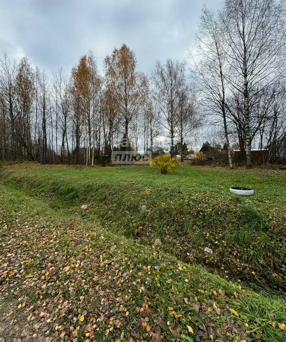 земля р-н Череповецкий с Воронино муниципальное образование Югское фото 7