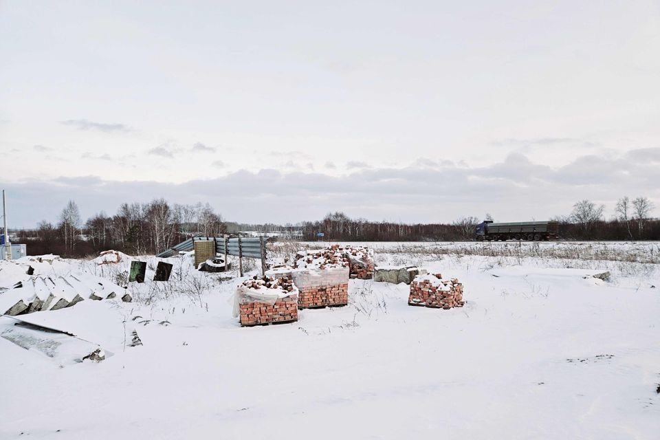 земля р-н Юргинский Кемеровская область — Кузбасс, с. Поперечное фото 3