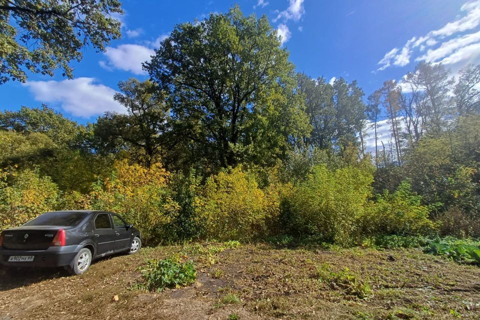 земля г Тамбов р-н Октябрьский Тамбов городской округ, СНТ Лесное фото 8