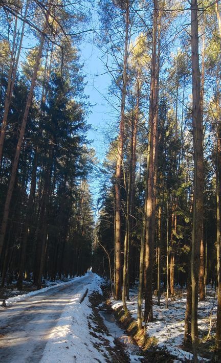 дом городской округ Наро-Фоминский 69, Лесная Поляна СНТ фото 2