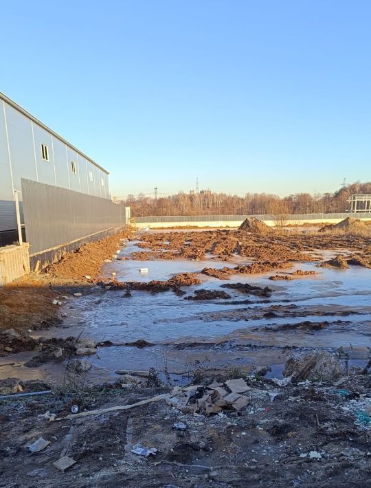 земля городской округ Раменский с Зеленая Слобода ул Лесная Домодедовская фото 2