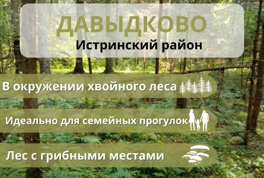 земля городской округ Истра с Новопетровское 67 км, коттеджный пос. Давыдково, 154, Волоколамское шоссе фото 10