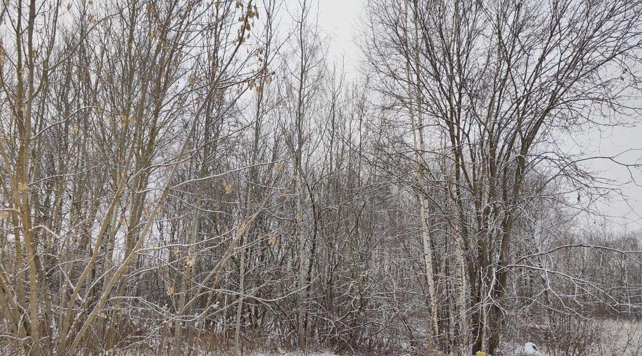 офис городской округ Орехово-Зуевский г Ликино-Дулёво фото 2