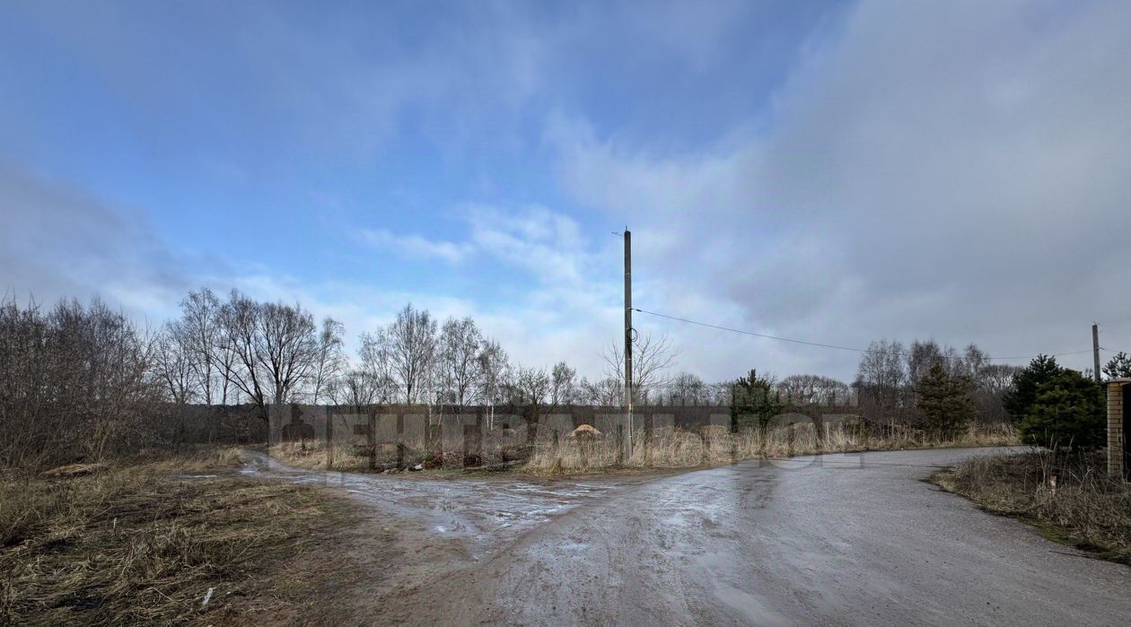 земля г Смоленск ул Мира д. Боровая фото 5