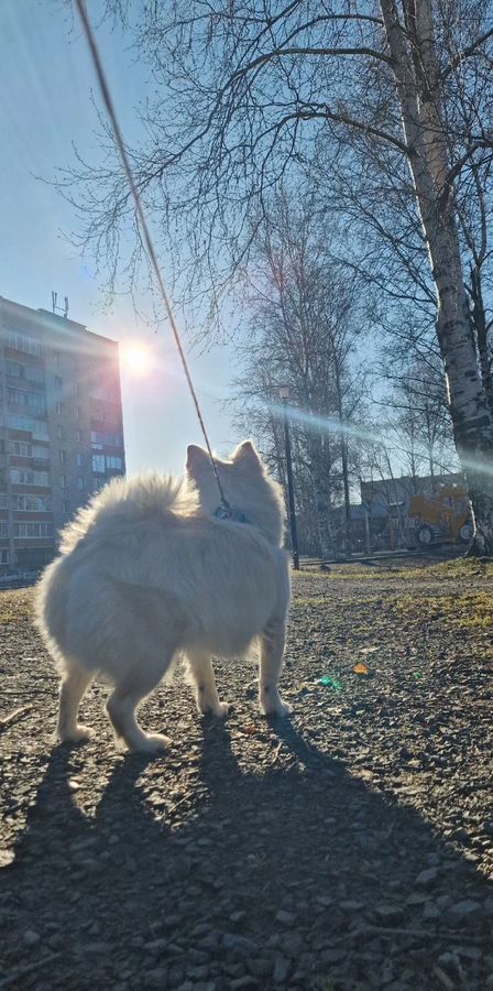 квартира г Петрозаводск р-н Октябрьский ул Мелентьевой 30 фото 1