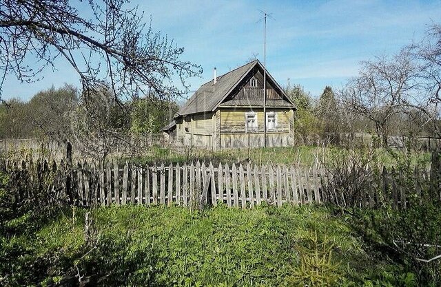 р-н Великолукский д Ваши Шелковская волость фото