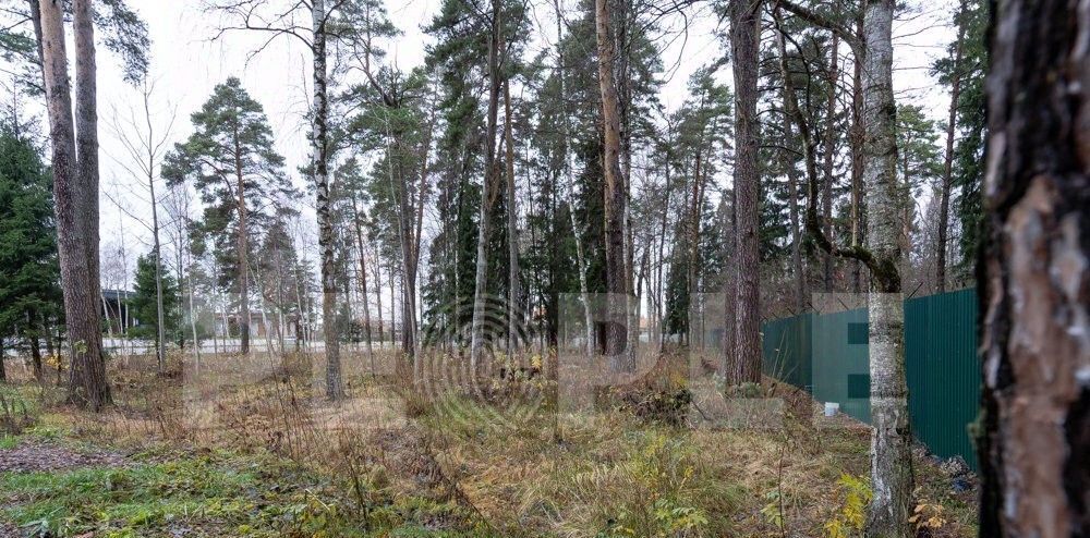 земля городской округ Красногорск д Поздняково Аникеевка фото 3