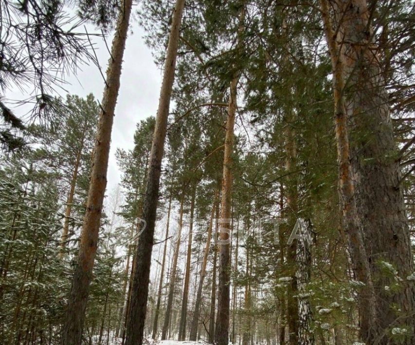 земля г Тюмень р-н Центральный тракт Велижанский 25с/1 6-й км фото 1