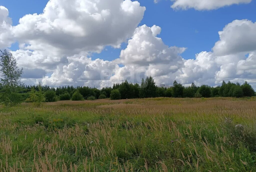 офис г Владимир р-н Октябрьский ул Новгородская фото 12