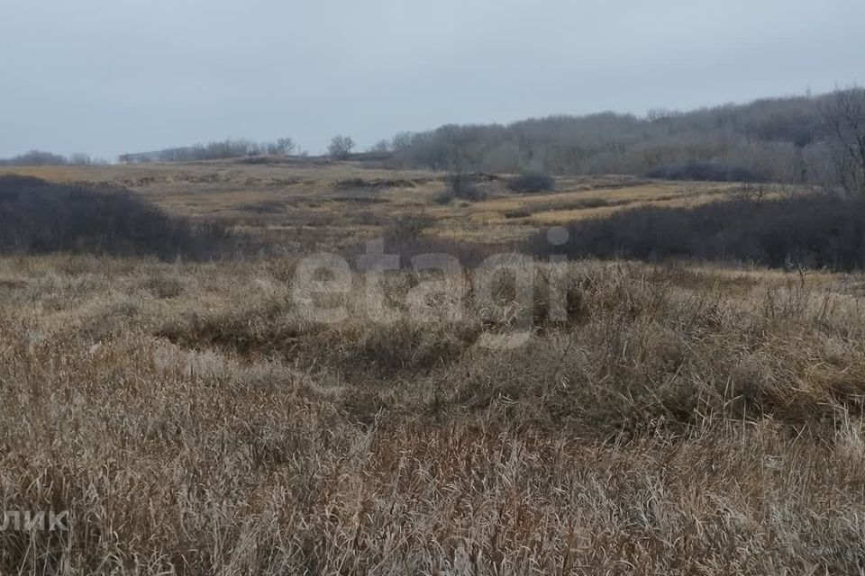 земля р-н Балашовский с. Хоперское фото 3