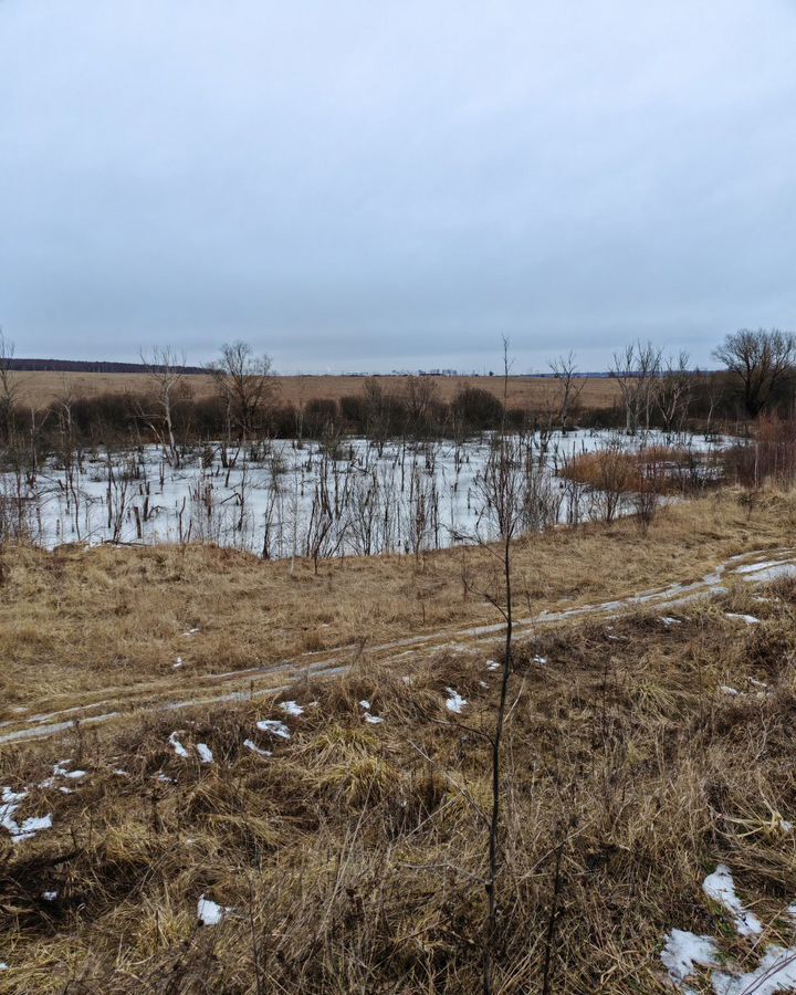 земля г Подольск д Ворыпаево 11 км, 80А, Домодедово, Варшавское шоссе фото 5