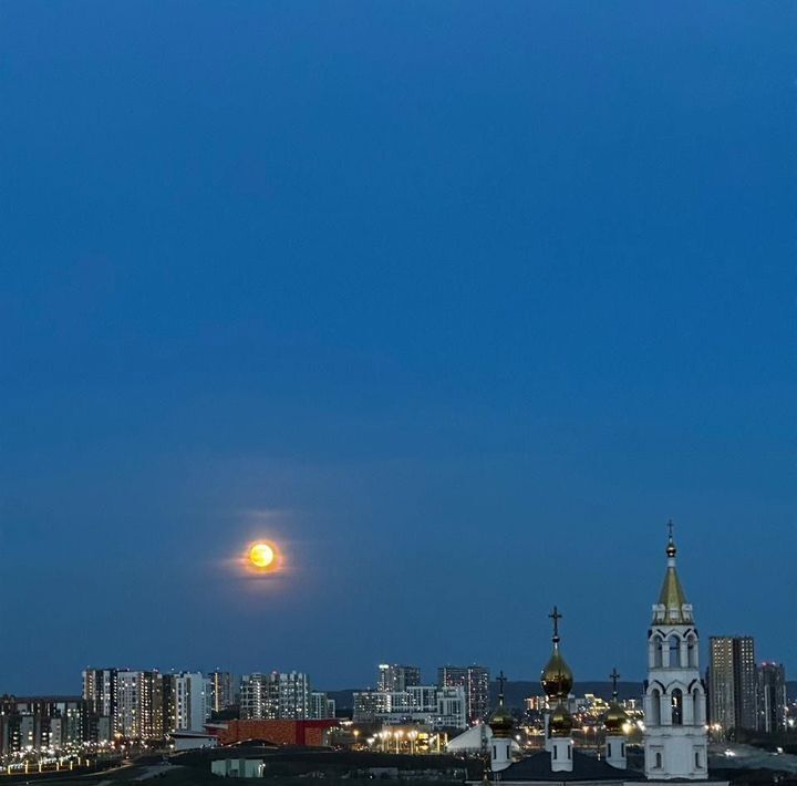 квартира г Екатеринбург Геологическая ул Академика Парина 35/2 фото 38
